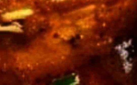 Recette de curry de poulet épicé