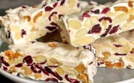 Nougat with Almonds, Walnuts, and Cranberries