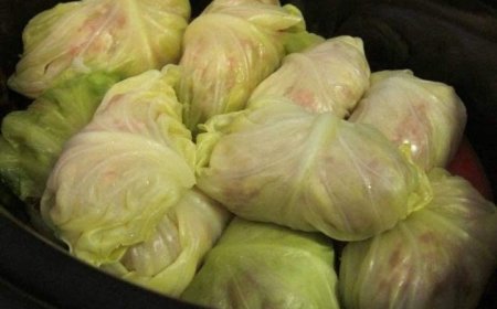 Stuffed Cabbages Rolls