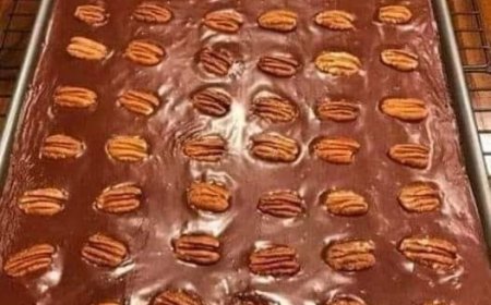 Texas Turtle Sheet Cake