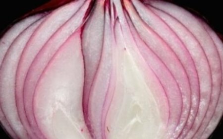 Erases Varicose Veins Like an Eraser! Top 5 Recipes with Red Onion