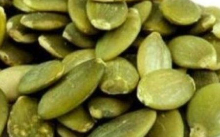 The Surprising Benefits of Eating Pumpkin Seeds Before Bed