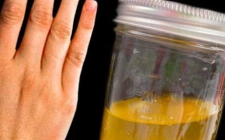 The Natural Elixir for Radiant Skin: A Carrot, Bay Leaf, and Orange Zest Blend