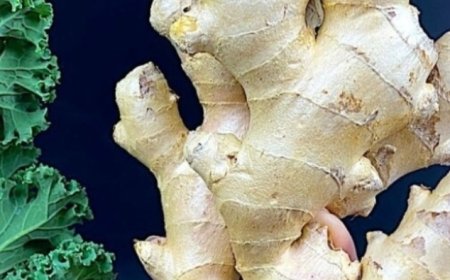 Natural Bomb for Cleansing the Liver and Blood Vessels: Kale and Lemon