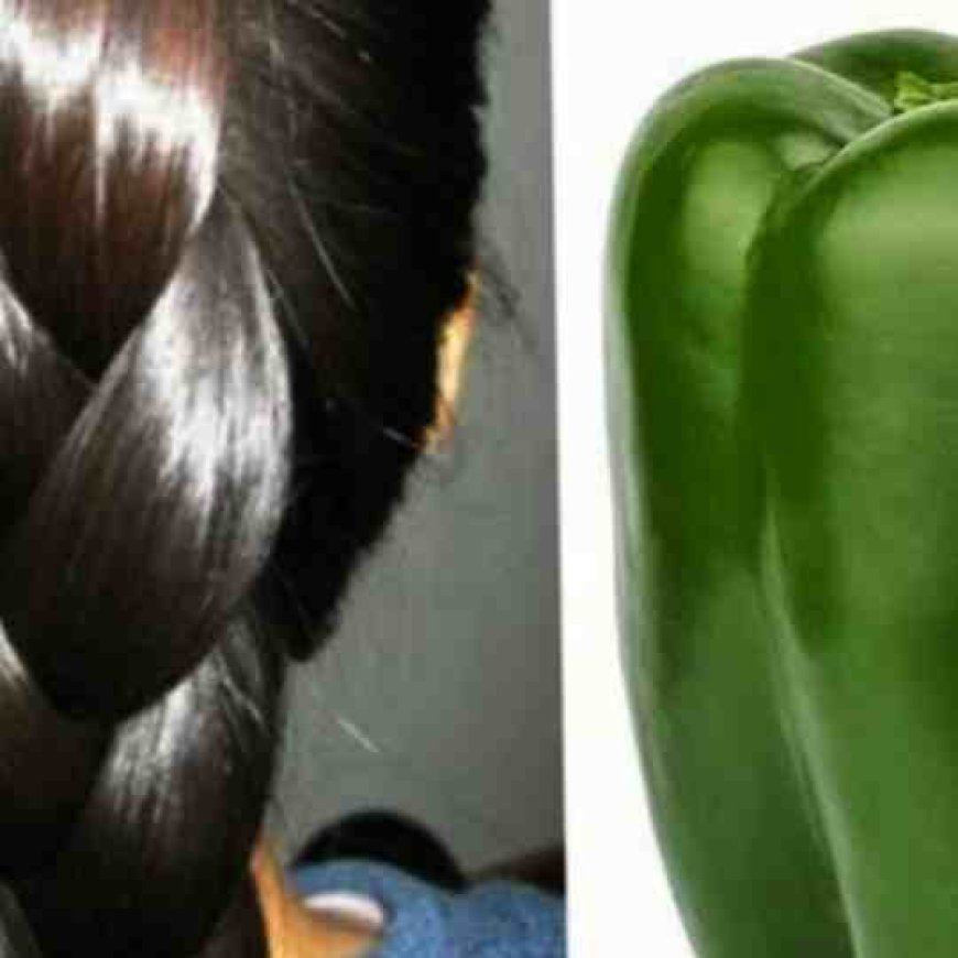 The Indian Secret ???? to Grow Hair at Rocket Speed and Treat Baldness from the First Week: Green Pepper