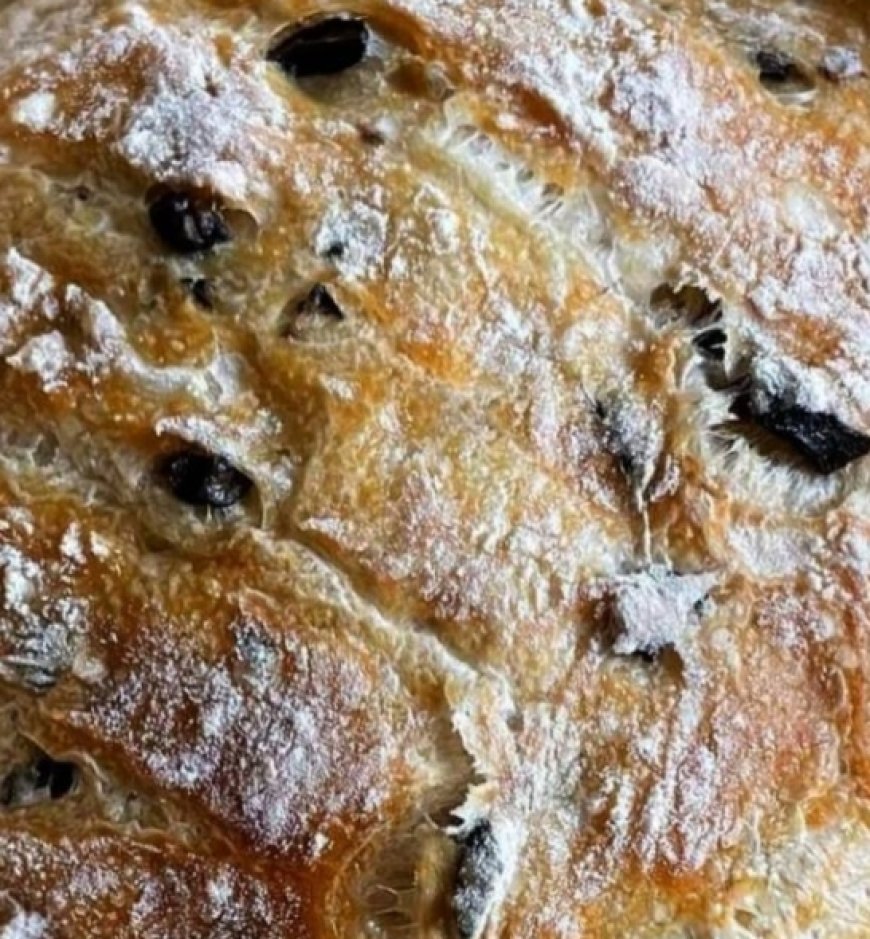 No-Knead Olive Artisan Bread