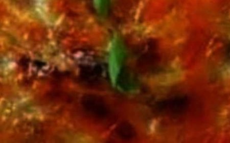 Savory Stuffed Breakfast Pancakes in the Chinese Style