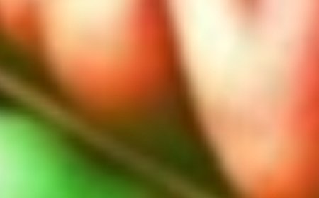 Place Just Two Cloves Under Your Pillow and See What Happens!