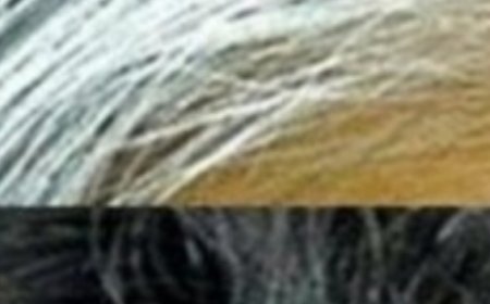 Gray Hair Disappears in 2 Minutes! 100% Efficient! (Did You Know That?)