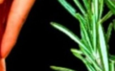 The 1 Tablespoon Miracle That’s Changing Lives: Rosemary