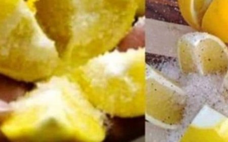Cut a Lemon in Half and Place it in Your Room: The Hidden Benefits of Salt and Lemon