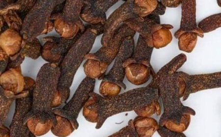 Natural Hair Treatment with Banana Peels, Aloe Vera, and Cloves