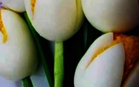 How To Make A Beautiful And Delicious Deviled Egg Bouquet