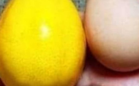 Unlocking Radiance and Rejuvenation: The Power of Lemon and Egg