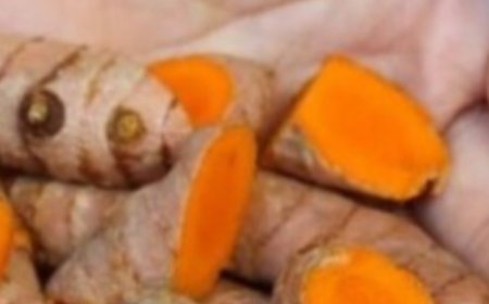 Helps with Dry Cough IntestinaCleansing Secret Recipe: Turmeric