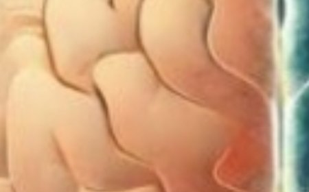 Never Eat Egg with “This” Cause Cancer and Dementia! 3 Best & Worst Food Recipe