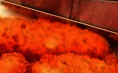 CRISPY CHICKEN STRIPS