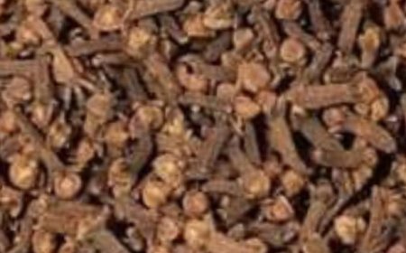 Discover the Wonders of Vinegar and Cloves: A Simple Kitchen Marvel