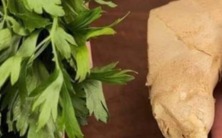 Natural Collagen Boost: Apply This in the Evening and Be Surprised in the Morning