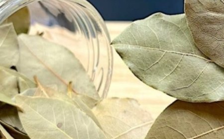 Discover the Magic of Bay Leaves for Revitalizing Your Hair