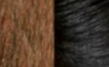 Hair Grows Like Crazy and Doesn’t Fall Out! The Most Powerful Tool: Potato