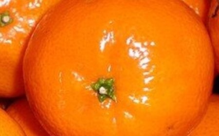 Clean Kidney, Liver, and Lungs with Mandarins: The Natural Bacteria Killer