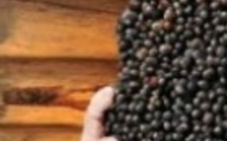 Put Black Pepper Under the Bed: You Won’t Believe What Will Happen