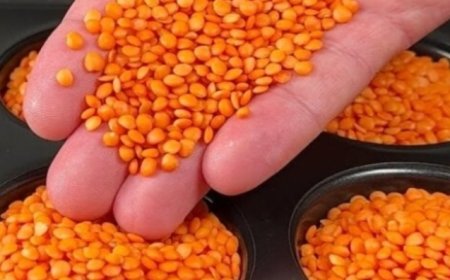 Red Lentils: A Delicious Way to Help Manage Blood Sugar