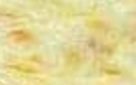 MILLION DOLLAR SPAGHETTI CASSEROLE