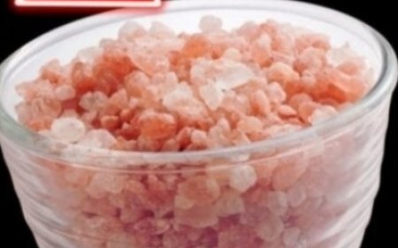 Embracing Himalayan Salt for Respiratory Wellness: A Breath of Relief