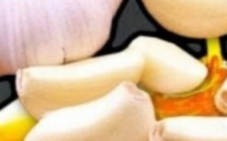 Take HONEY with GARLIC in the Morning – Here’s What Happened After 7 Days