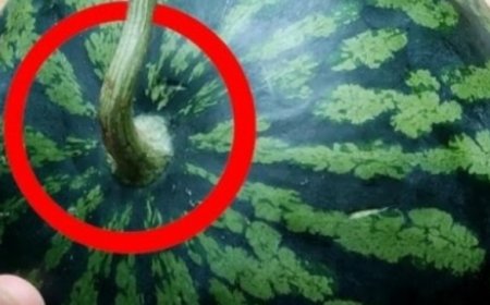 How to Pick a Perfectly Sweet Watermelon: Easy Tips at a Glance