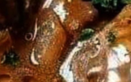 My Amish friend showed me this “Poor Man’s Steak” recipe. It’s so good. How come I don’t feel poor eating it?