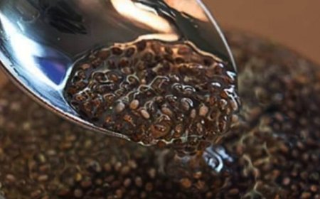 Unlock the Power of Chia: A Refreshing Way to Support Weight Loss