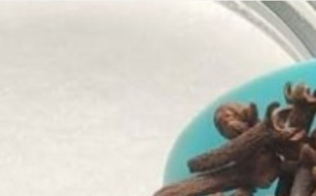 Mix Baking Soda and Cloves and Save Tons of Money!