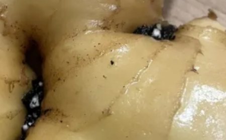 5 Amazing Benefits of Eating Ginger Every Day