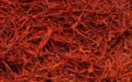 Exploring the Benefits of Sophora for Prostate Health