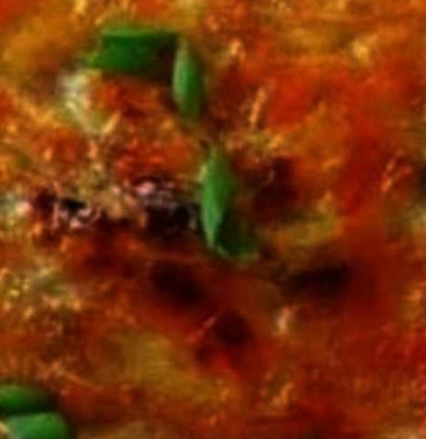 Savory Stuffed Breakfast Pancakes in the Chinese Style