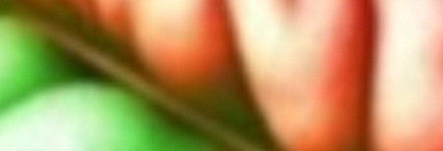 Place Just Two Cloves Under Your Pillow and See What Happens!