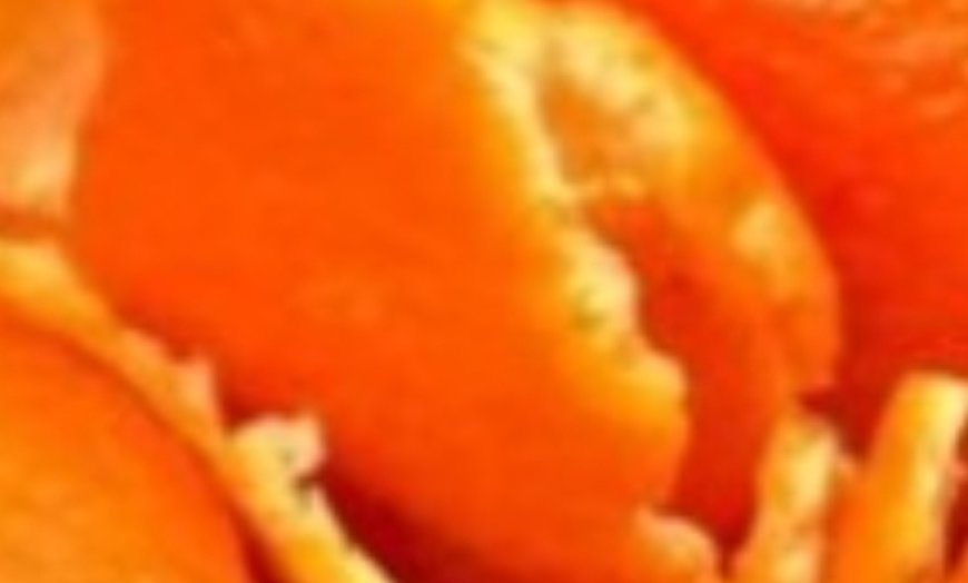 Do Not Throw Away Tangerine Peels. I Don’t Shop at the Pharmacy Anymore. Delicious and Healthy