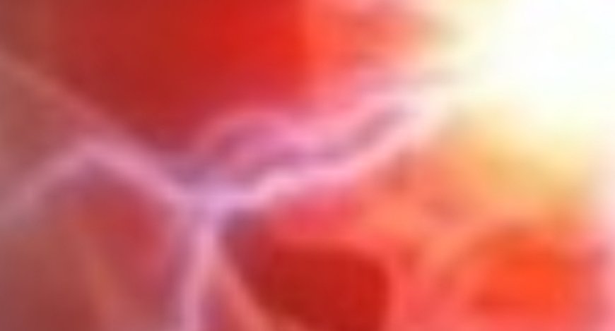 This Seed Can Fix Your Back Pain Naturally