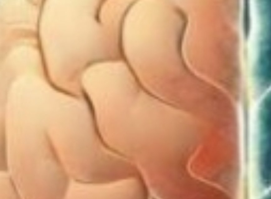 Never Eat Egg with “This” Cause Cancer and Dementia! 3 Best & Worst Food Recipe