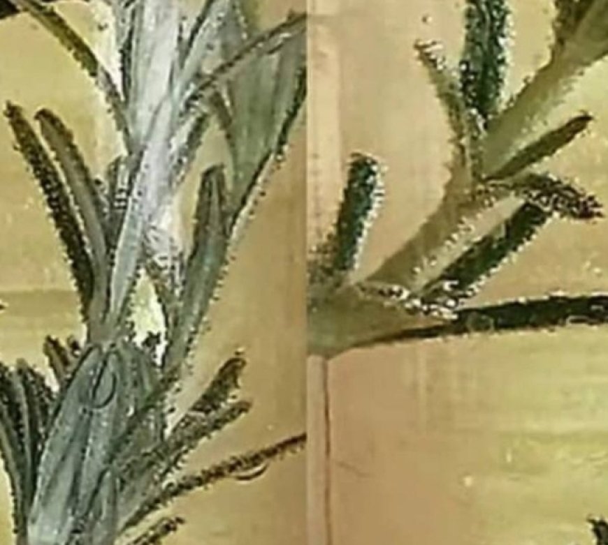 This Liquid Cleans Blood Vessels, and Cholesterol is as if it Never Existed: Rosemary Tea