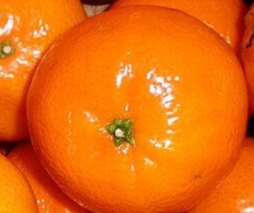Clean Kidney, Liver, and Lungs with Mandarins: The Natural Bacteria Killer