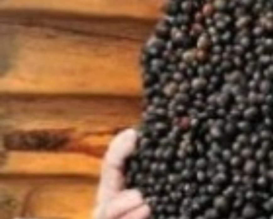Put Black Pepper Under the Bed: You Won’t Believe What Will Happen