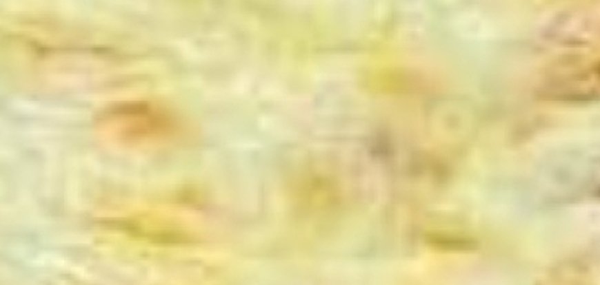 MILLION DOLLAR SPAGHETTI CASSEROLE