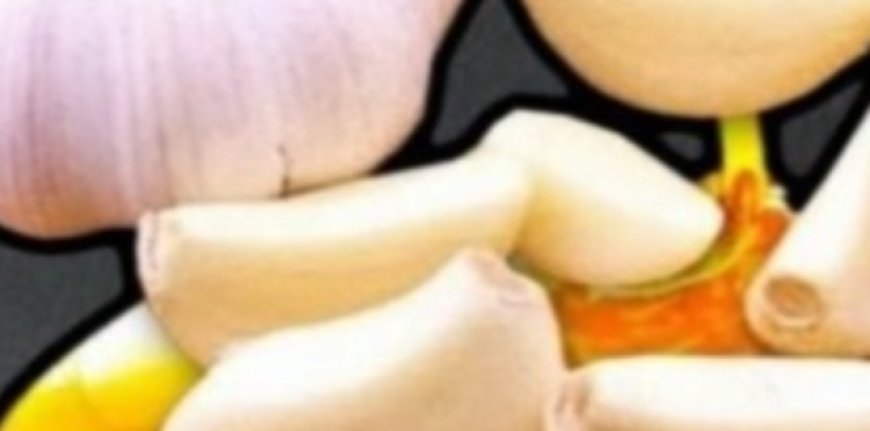 Take HONEY with GARLIC in the Morning – Here’s What Happened After 7 Days