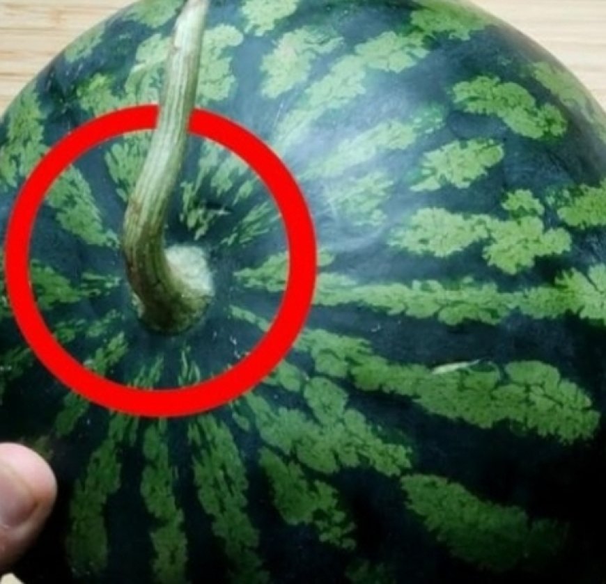 How to Pick a Perfectly Sweet Watermelon: Easy Tips at a Glance