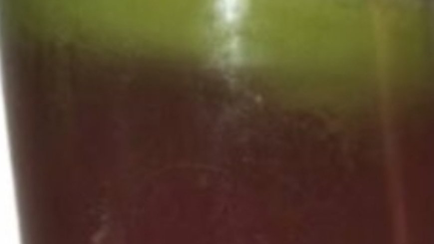 The Indian Secret: A Natural Herb to Boost Hair Growth and Combat Baldness Quickly