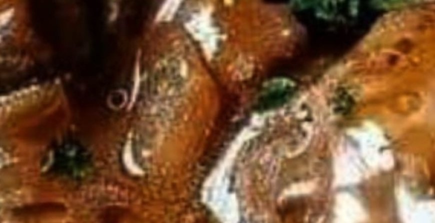 My Amish friend showed me this “Poor Man’s Steak” recipe. It’s so good. How come I don’t feel poor eating it?